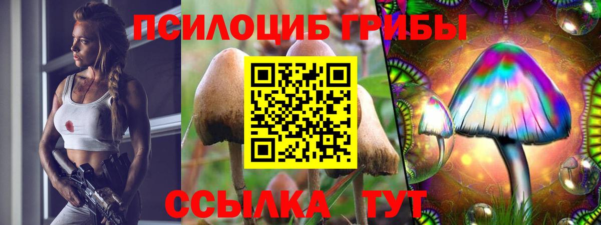 наркота  Вход с VPN  Ржев  Псилоцибиновые грибы Magic Shrooms  Псилоцибиновые грибы Magic Shrooms 