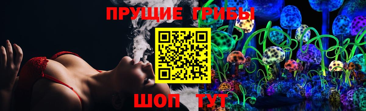 Псилоцибиновые грибы Psilocybine cubensis Ржев